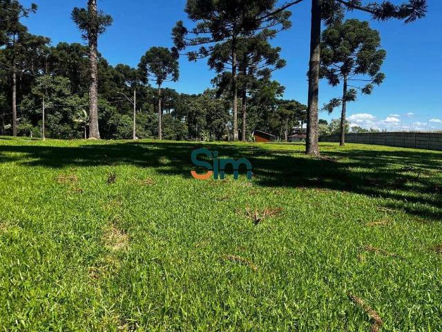Terreno / Lote para Venda em Chapecó/SC Área Rural de Chapecó