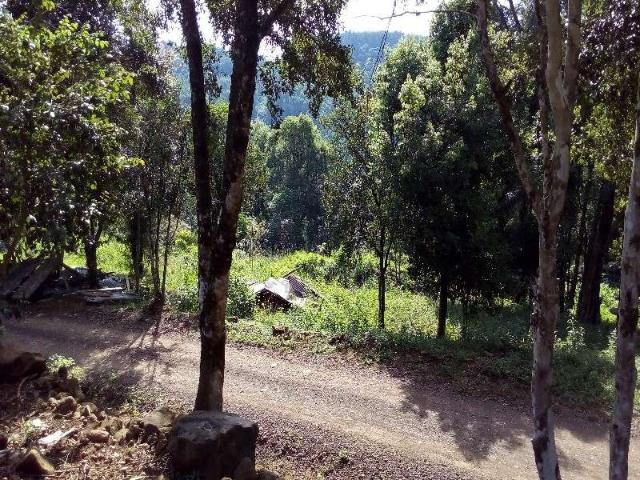Terreno / Lote para Venda em Chapecó/SC Área Rural de Chapecó