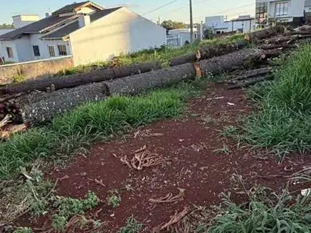 Terreno / Lote para Venda em Chapecó/SC Autódromo