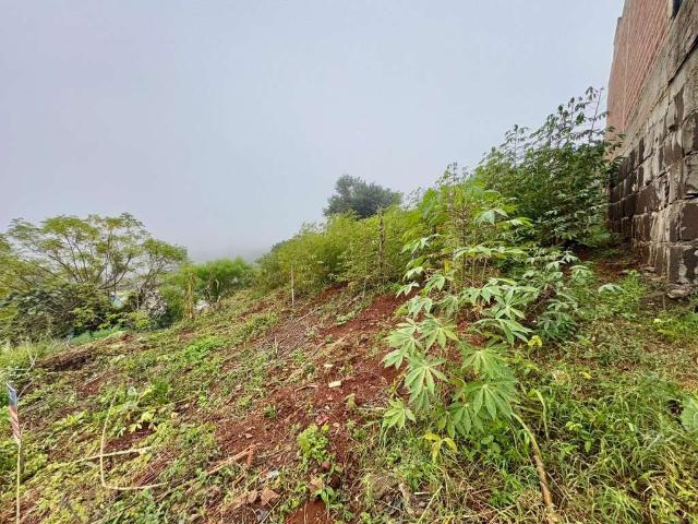 Terreno / Lote para Venda em Chapecó/SC Esplanada