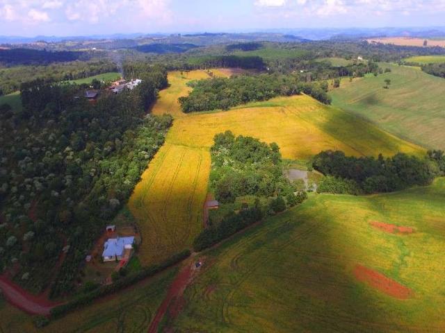 Terreno / Lote para Venda em Chapecó/SC Interior