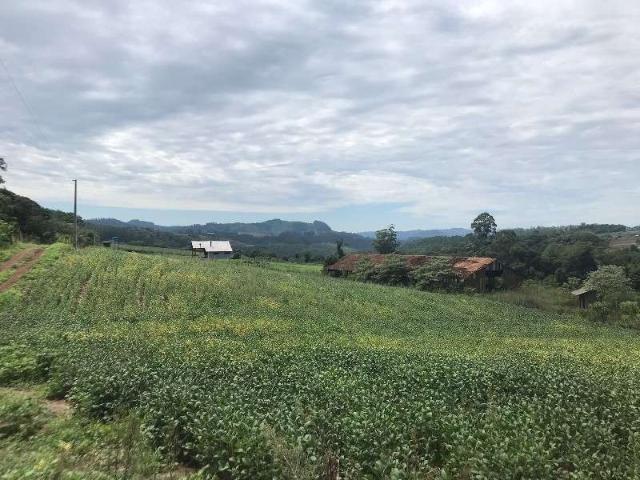 Terreno / Lote para Venda em Chapecó/SC Interior