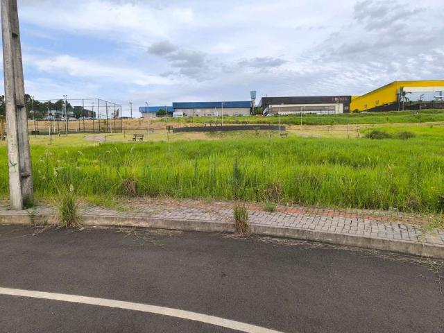 Terreno / Lote para Venda em Chapecó/SC Industrial