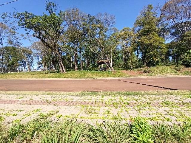Terreno / Lote para Venda em Chapecó/SC Jardim Europa