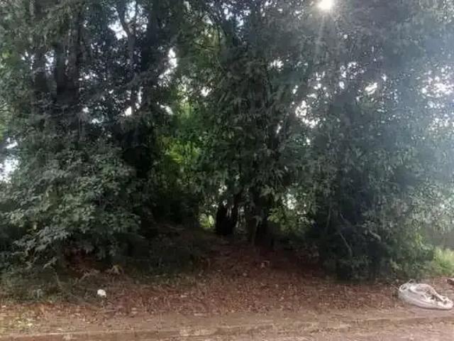 Terreno / Lote para Venda em Chapecó/SC Jardins