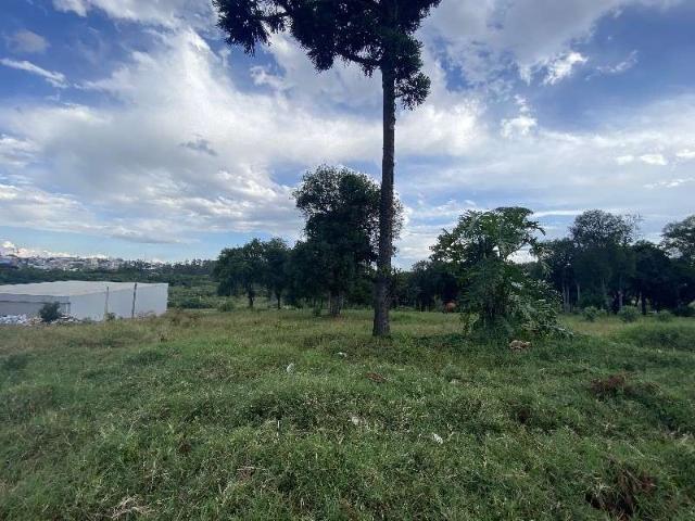 Terreno / Lote para Venda em Chapecó/SC Lajeado