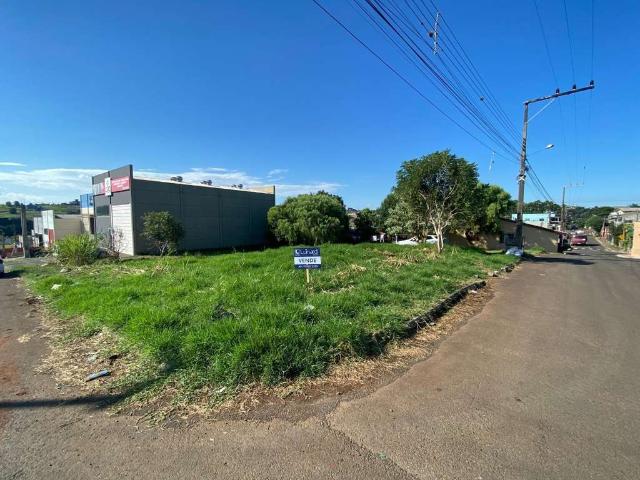 Terreno / Lote para Venda em Chapecó/SC Líder