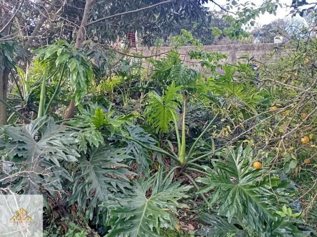 Terreno / Lote para Venda em Chapecó/SC São Lucas
