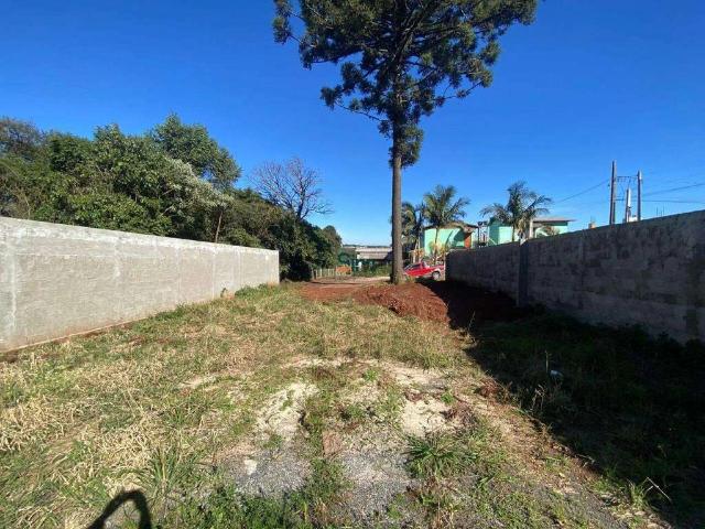 Terreno / Lote para Venda em Chapecó/SC Santo Antônio