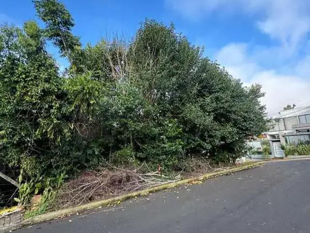 Terreno / Lote para Venda em Chapecó/SC Santa Maria