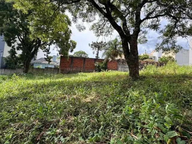Terreno / Lote para Venda em Chapecó/SC Palmital