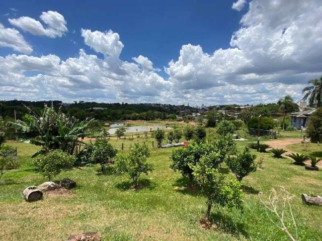 Terreno / Lote para Venda em Chapecó/SC Quedas do Palmital