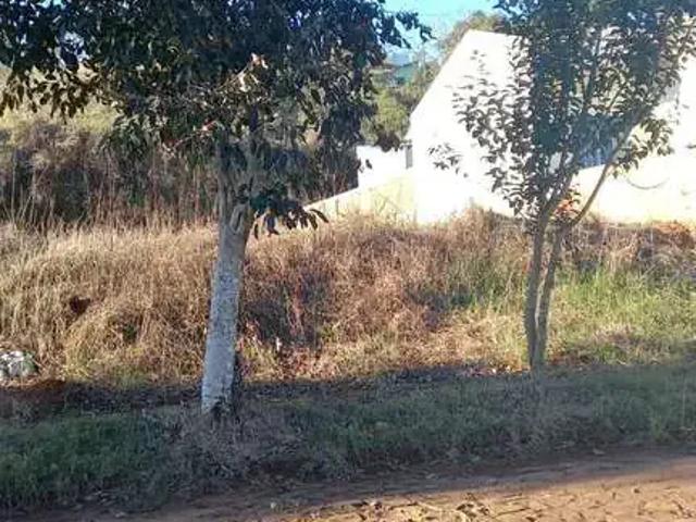 Terreno / Lote para Venda em Chapecó/SC Trevo