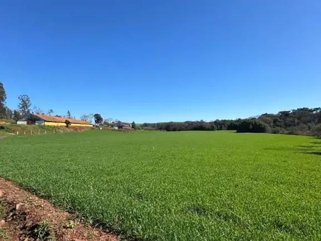 Terreno / Lote para Venda em Chapecó/SC Vederti