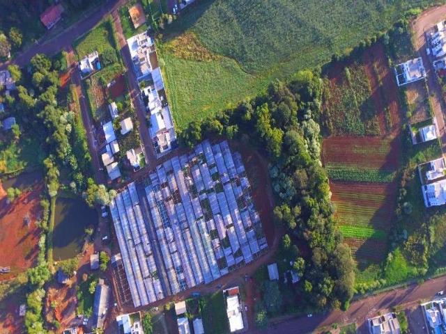 Terreno / Lote para Venda em Chapecó/SC Vila Real