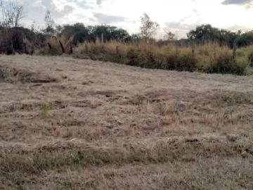 Terreno / Lote para Venda em Charqueada/SP Santa Luzia