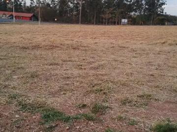 Terreno / Lote para Venda em Charqueada/SP Santa Luzia