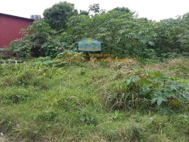 Terreno / Lote para Venda em Cidreira/RS Centro