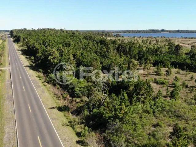 Terreno / Lote para Venda em Cidreira/RS Estancia da Lagoa