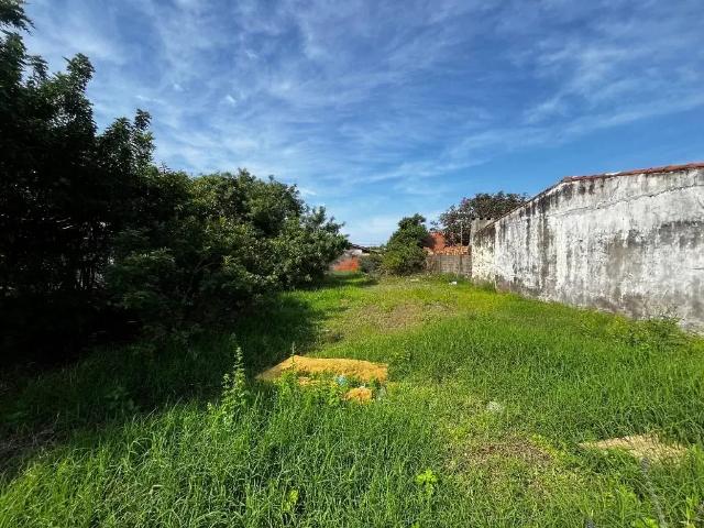 Terreno / Lote para Venda em Cidreira/RS Parque Dos Pinos