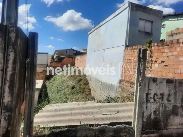 Terreno / Lote para Venda em Contagem/MG Nossa Senhora do Carmo