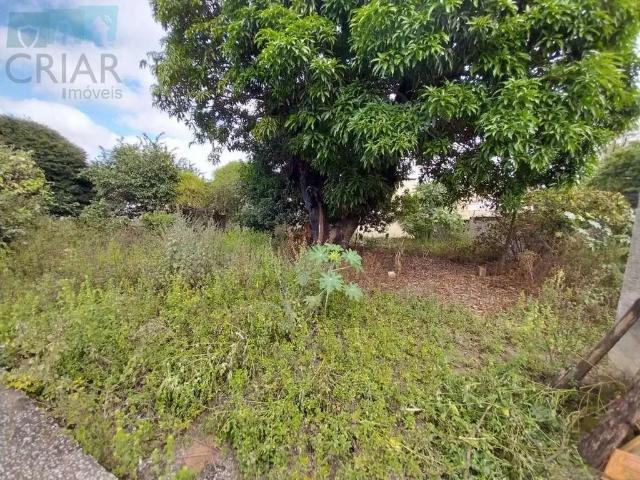Terreno / Lote para Venda em Contagem/MG Novo Progresso