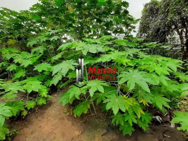 Terreno / Lote para Venda em Contagem/MG Alvorada 1 Quartos