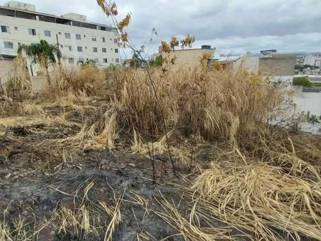 Terreno / Lote para Venda em Contagem/MG Arvoredo 2ª Seção
