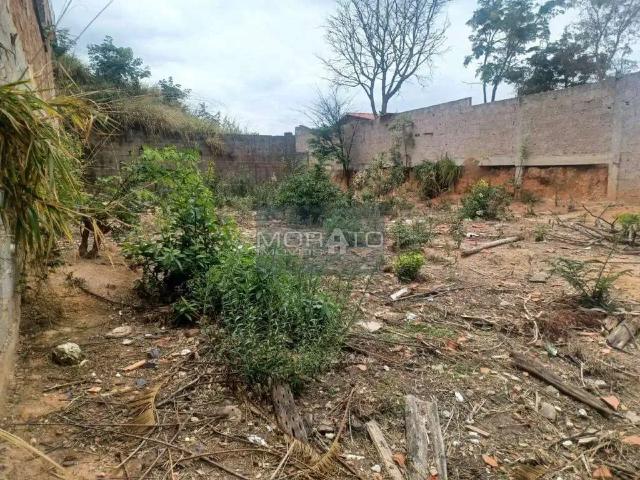 Terreno / Lote para Venda em Contagem/MG Arvoredo 2ª Seção
