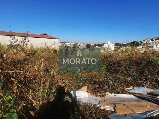 Terreno / Lote para Venda em Contagem/MG Arvoredo 2ª Seção