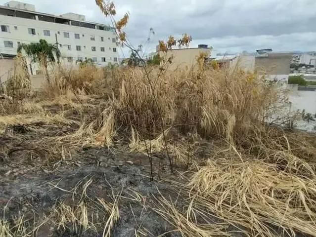 Terreno / Lote para Venda em Contagem/MG Arvoredo 2ª Seção