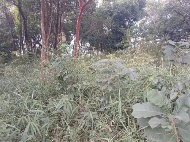 Terreno / Lote para Venda em Contagem/MG Bom Jesus