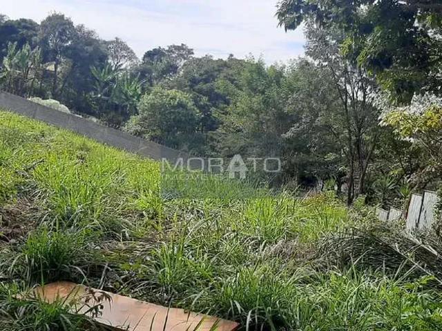 Terreno / Lote para Venda em Contagem/MG Cabral
