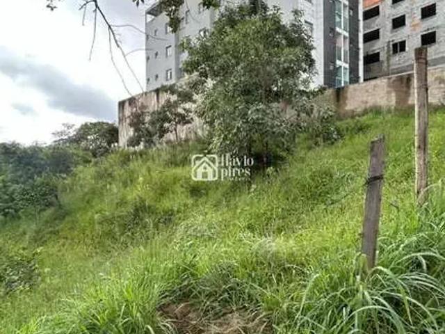 Terreno / Lote para Venda em Contagem/MG Cabral