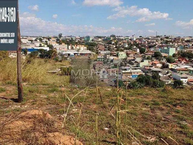 Terreno / Lote para Venda em Contagem/MG Cabral