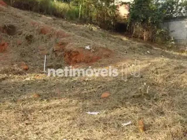 Terreno / Lote para Venda em Contagem/MG Cabral
