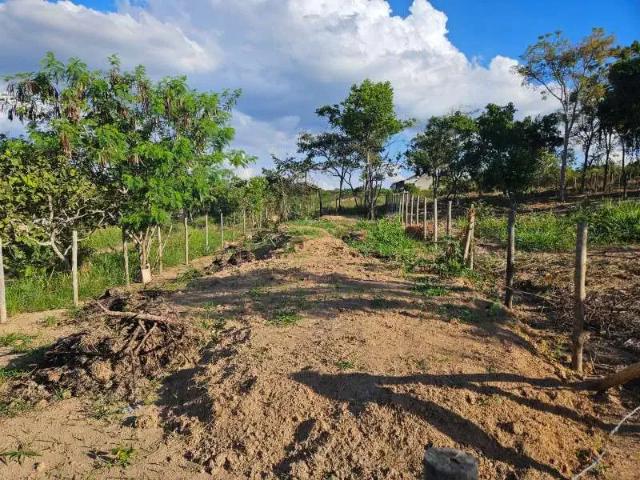 Terreno / Lote para Venda em Contagem/MG Capim Rasteiro Chácaras Campo Alegre