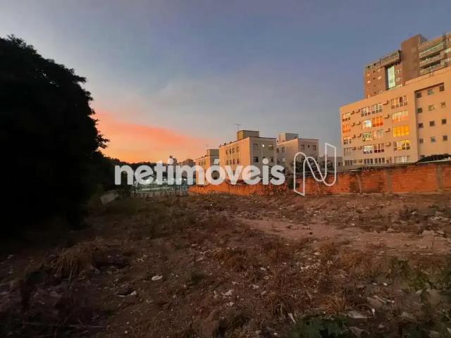 Terreno / Lote para Venda em Contagem/MG Centro
