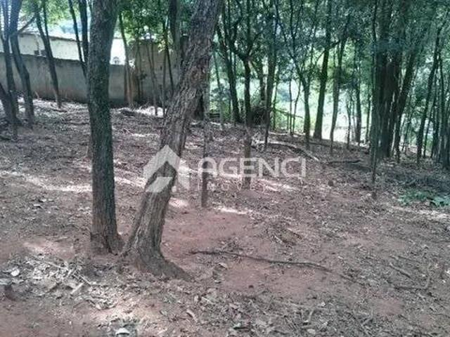 Terreno / Lote para Venda em Contagem/MG Chácaras Cotia