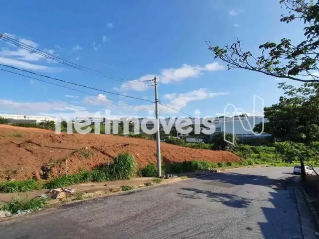 Terreno / Lote para Venda em Contagem/MG Distrito Industrial Doutor Hélio Pentagna Guimarães