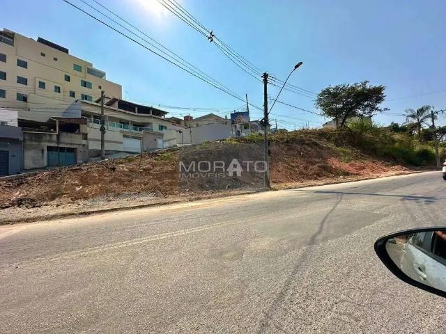 Terreno / Lote para Venda em Contagem/MG Europa