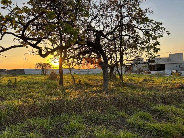 Terreno / Lote para Venda em Contagem/MG Estância do Lago