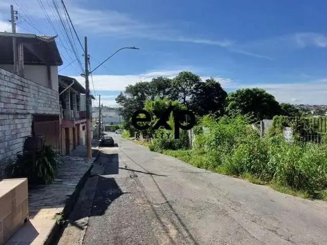 Terreno / Lote para Venda em Contagem/MG Feijão Miúdo