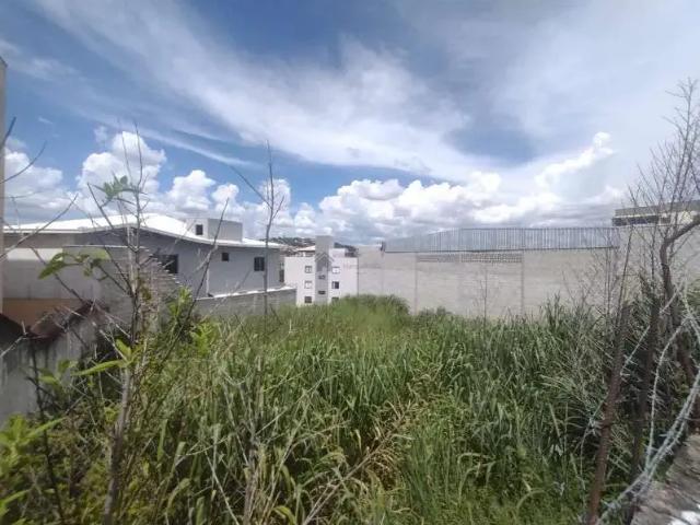 Terreno / Lote para Venda em Contagem/MG Industrial São Luiz