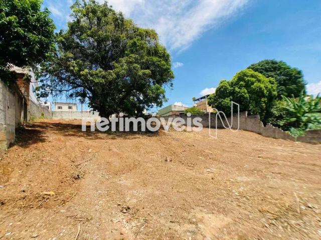 Terreno / Lote para Venda em Contagem/MG Parque Turistas