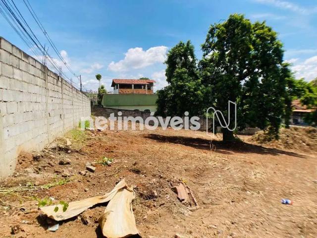 Terreno / Lote para Venda em Contagem/MG Parque Turistas