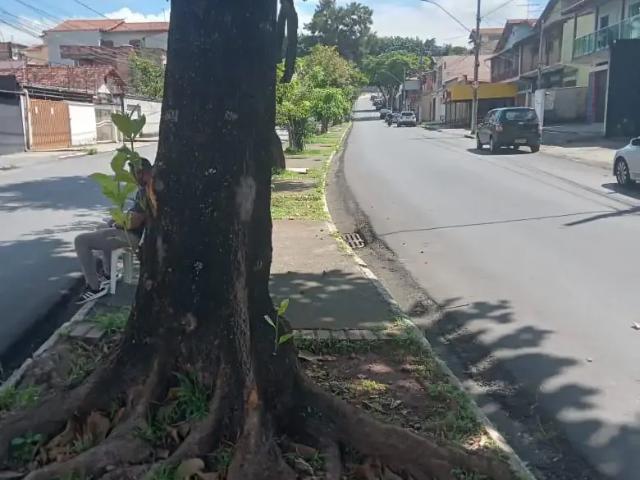 Terreno / Lote para Venda em Contagem/MG Riacho das Pedras