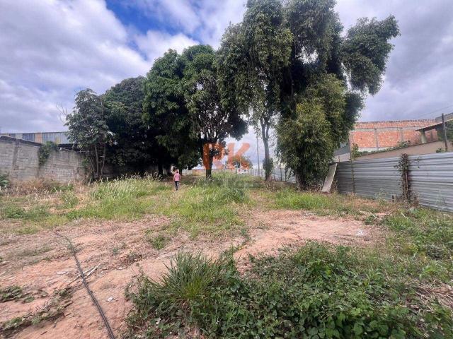 Terreno / Lote para Venda em Contagem/MG Santa Terezinha