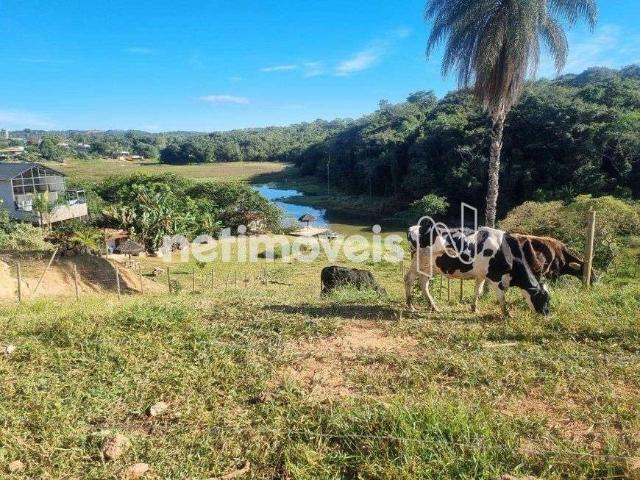 Terreno / Lote para Venda em Contagem/MG Solar do Madeira