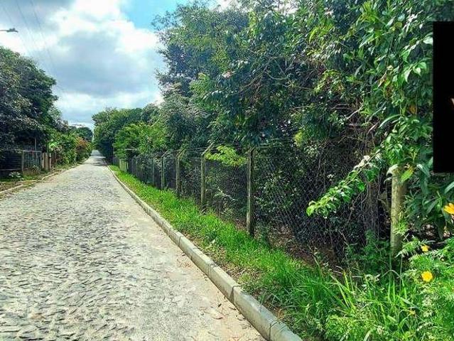 Terreno / Lote para Venda em Contagem/MG Vila Ipê Amarelo